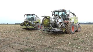 2x JAGUAR 870 | 10 Bennes | ensilage 2020 | SARL D'Ecouflans🌽💨