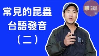 常見的昆蟲台語發音（二）|台語分享