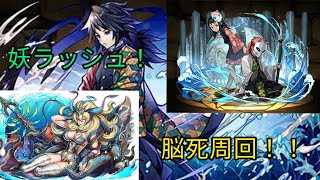 【マルチ】妖ラッシュ！脳死周回編成！！【パズドラ】