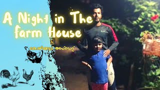 nadan kozhi valarthal | നാടൻ കോഴി വളർത്തൽ | കോഴിക്കൂട് updation | a night in the farmhouse