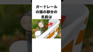 【雑学】これに関する雑学２#shorts