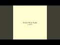 Dream River Pulse