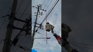 22.9KV 특고압 휴즈 개방. 9월부터 유료! #shorts