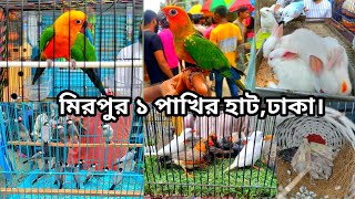 টিয়া| ময়না| শালিক পাখিসহ| গিনিপিগ| হ্যামস্টার| বিড়াল এসেছে মিরপুর পাখির হাটে।