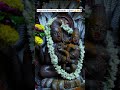 nagpanchami nagchandreshwar temple ytshorts trending video gudiya reels mahakal ujjain india