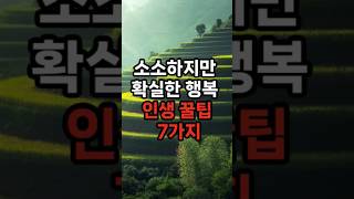 소소하지만 확실한 행복 인생꿀팁 7가지