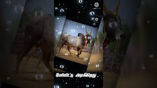 Jalli kattu kalai funny videos Tamil/2021/MK creation 😍