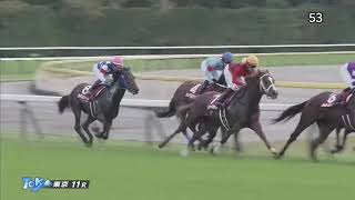 【ファンタジスト】2018年11月3日東京11R 第54回 京王杯２歳ステークス