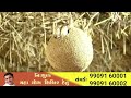 મહા ધ્યાન શિબિર દિવસ 3 સવાર live livestrem