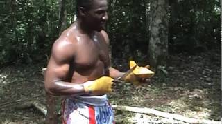 Golola Moses | Training with Mosquitoes  in Mabira Forest