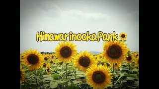 ひまわりの丘公園2017 Himawarinooka Park