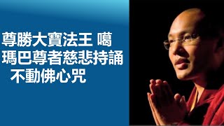 疫情全球擴散 大寶法王開示疫情期恭誦不動佛心咒 感得諸佛慈悲護念 化解疫情 平安度過難關！ 7個半小時