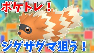 【色違い】ポケトレでジグザグマの色違いを頑張って狙っていくよ！【ポケットモンスターブリリアントダイヤモンド・シャイニングパール】【#ポケモンbdsp  】【#ポケモンsv  】【#shorts  】