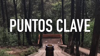 PUNTOS CLAVE - 03 - AGUACATES CREATIVOS