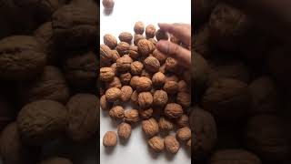 Lot’s of dry fruits | NUTRAJ California Walnuts IN SHELL