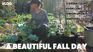 VLOG - A Garden Tour + Tallow Making | Onion Seedling Update | THANK YOU (Y'all Make Me Smile)