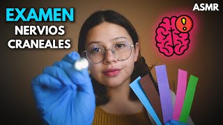 asmr 👩🏻‍⚕️EXAMEN de NERVIOS CRANEALES🧠 Muy Detallado - Roleplay Medico -Vivalen ASMR