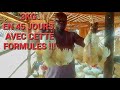 ÈLEVAGE DE POULETS DE CHAIR. [formule alimentaire]