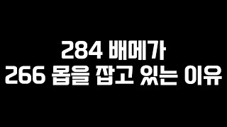 284 배메가 266 몹을 잡고 있는 이유