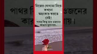 যোগ্যতা নিয়ে অহংকার করতে নেই @refugiomental6818 @refugiomental6032 @wai4TH @mind_warehouse