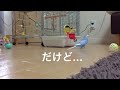 vol.136『怖くて行けない所があるインコ』セキセイインコのサクちゃん