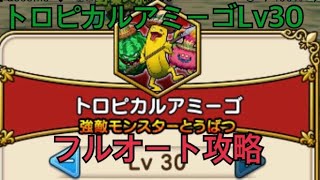 【ドラクエウォーク】♯25 トロピカルアミーゴLv30フルオート攻略！