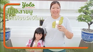 YOLO Vlog: พาไปทำบุญวัดไก่เตี้ยด้วยไก่แก้บนรักษ์โลกกันค่า