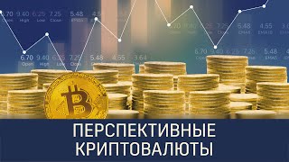 Обзор перспективных монет