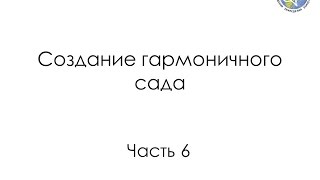 Создание гармоничного сада