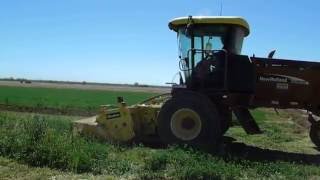 Harvesting alfalfa at the Arizona Correctional Industries farm in Florence, AZ.