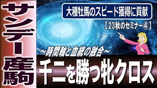 サンデーサイレンスと牝馬クロス　中距離種牡馬からスプリンターを産む秘密　【計算する血統】No.203