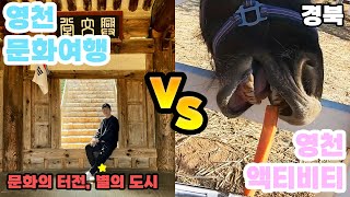 경상북도 영천여행 문화관광 vs 액티비티