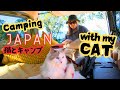 Cat's First Kei Van Camping Trip in Japan: Nighttime Scare! [猫とキャンプ]