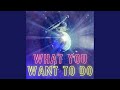 What You Want To Do