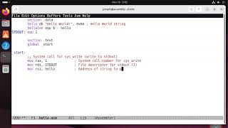 x86-64 Assembly - Hello World