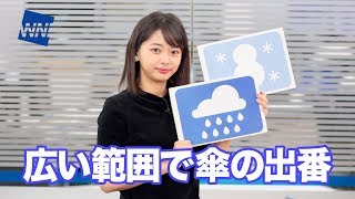 お天気キャスター解説 2月6日(水)の天気