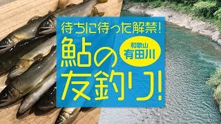 【和歌山】待ちに待った解禁！鮎の友釣り！【有田川】