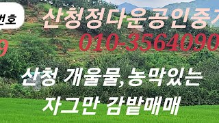 산청 개울물, 농막있는 자그만 감밭매매