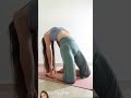 flipping my dog yoga downwarddog threeleggeddog bridge balance dogyoga