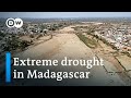 Madagascar's impending hunger crisis | DW News