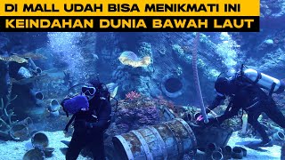 BXSea Bintaro (4K) | Aquarium Terbesar di Indonesia di Bintaro Xchange Mall 2