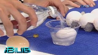 iBilib: Alien Eggs-periment