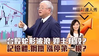 【理財達人秀】台股蛇形波浪 迎主升段？記憶體、鋼鐵 漲停第一根？｜李兆華、杜金龍 2025.02.13 part1