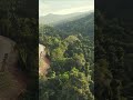 bottom in the wood to the top of land nature travel cambodia drone wildlife mountains