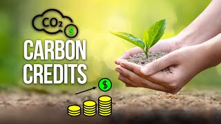 What are Carbon Credits? What Could They Mean to Small Landowners? - Craig Kieser - LandGate