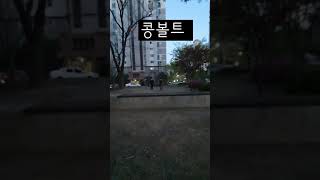 파쿠르기술-콩볼트