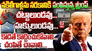 Top Story :నకిలీగాళ్లను నరకానికి పంపిస్తున్న ట్రంప్..| Donald Trump Crackdown on Illegal Immigration