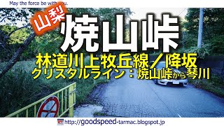 山梨県：林道川上牧丘線／焼山峠／降坂