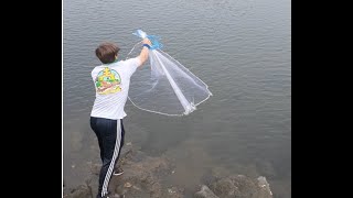 Giant 40LB Butterfly Ray!(Super Strong Animal)