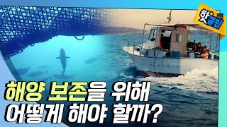 [핫클립] 지속가능한 해양 보존을 위해 해야할 일 / YTN 사이언스